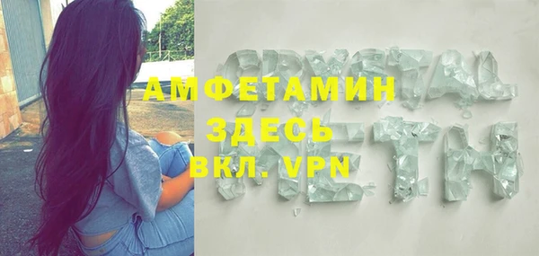 ПСИЛОЦИБИНОВЫЕ ГРИБЫ Бородино