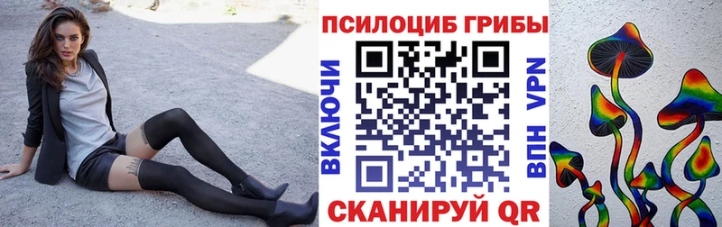 darknet как зайти  Кинель  Псилоцибиновые грибы Magic Shrooms  купить  